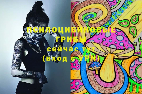 стафф Балабаново