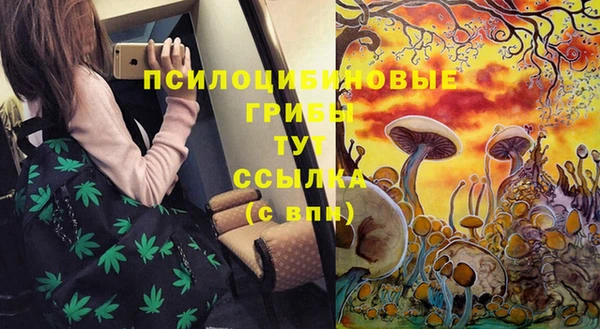 прущие крисы Балахна