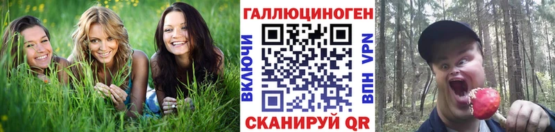 Псилоцибиновые грибы мухоморы  OMG зеркало  Верхний Тагил 
